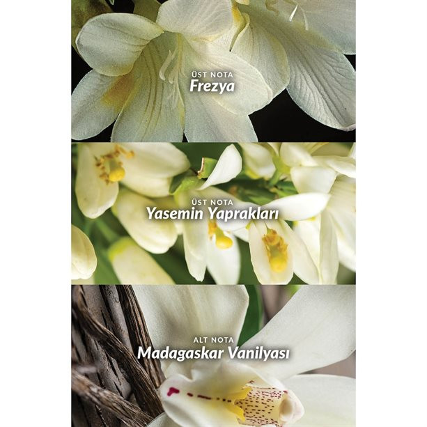 عطر زنانه فار اوی ادو پرفیوم 10 میلیلیتری