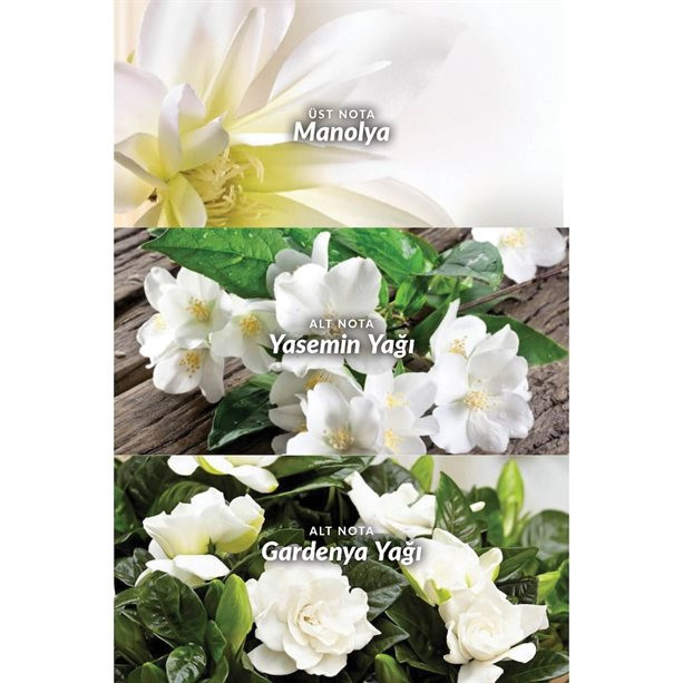 عطر زنانه پریمیر لوکس ادوپرفیوم 50